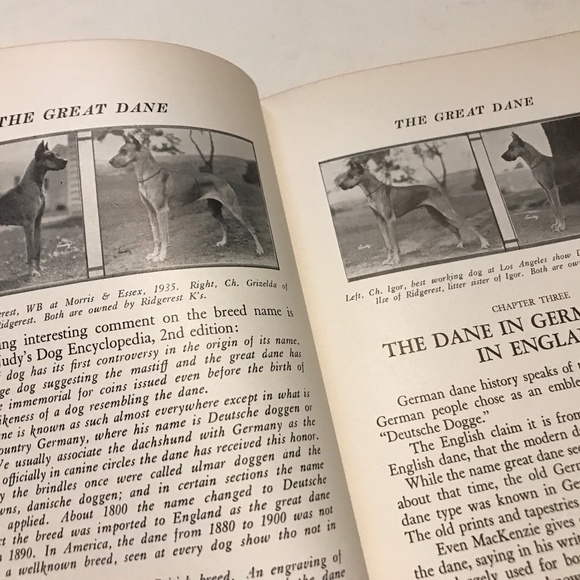The Great Dane By D.E. Hale. 1938 Second Edition. Collectible Vintage. Hardback. - Picture 6 of 10
